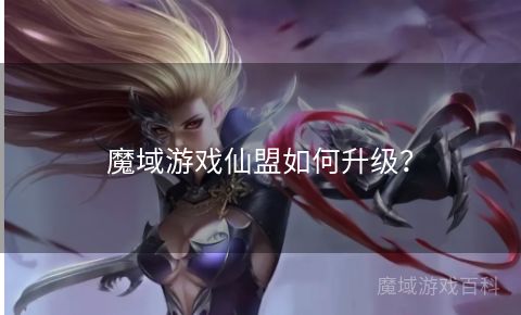 魔域游戏仙盟如何升级？  第1张