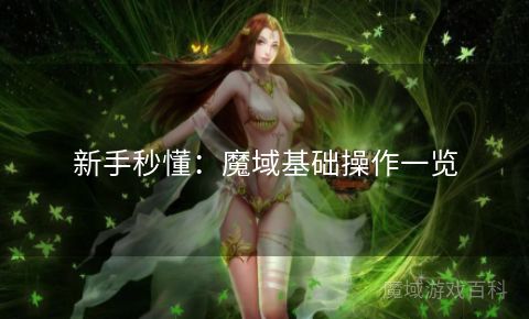 新手秒懂：魔域基础操作一览  第1张